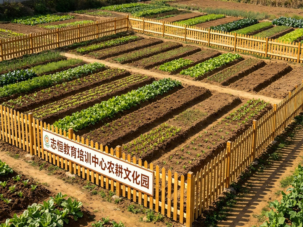 临夏比较好的叛逆孩子教育学校具体位置在哪里